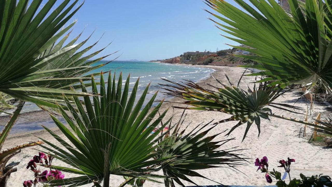 דירות קמפואמור Mirador De Aguamarina מראה חיצוני תמונה